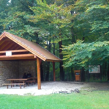 아파트 Judit 본보야크바세기