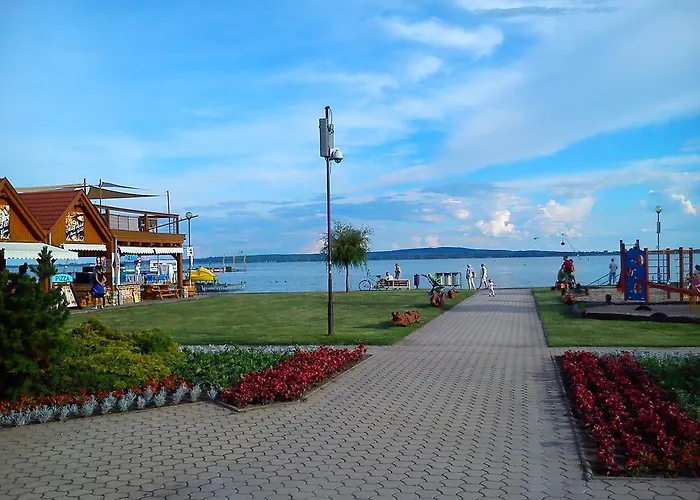 Judit פוניארצוושהג'