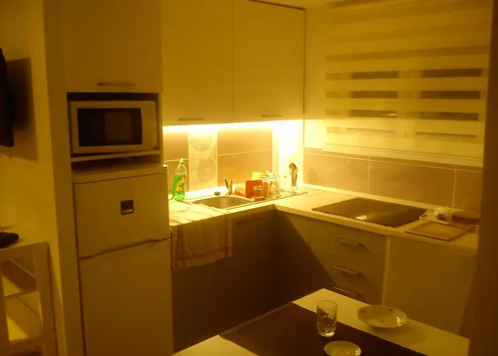 Judit פוניארצוושהג'